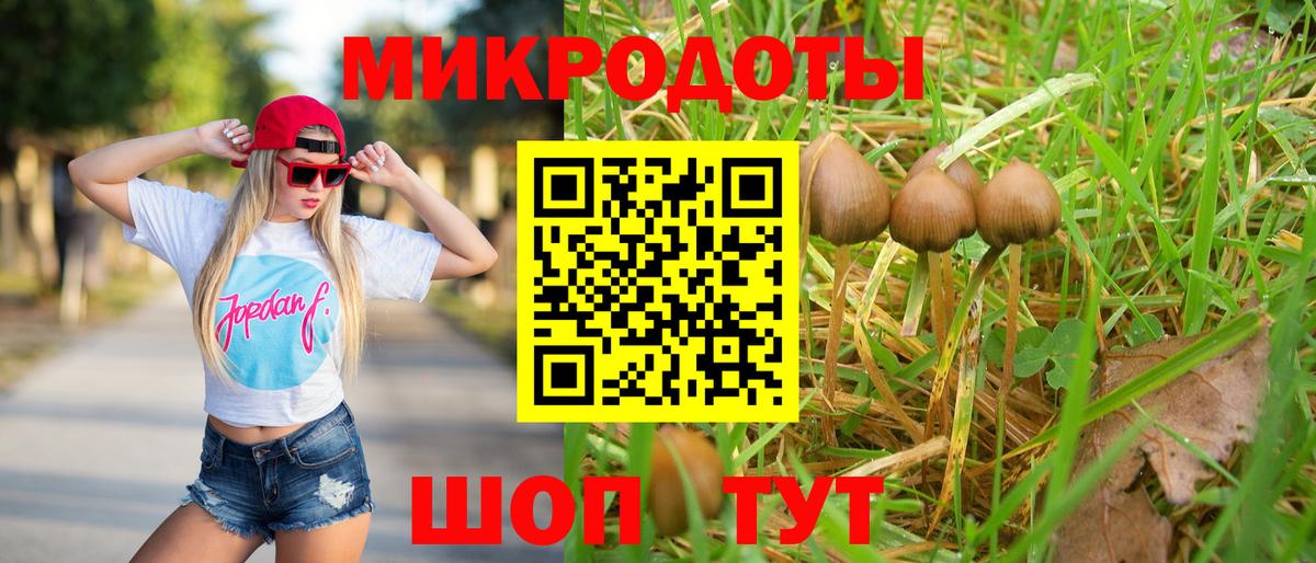 Галлюциногенные грибы мицелий Кашира