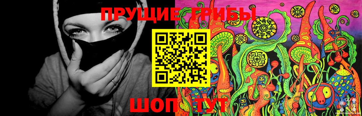 Кашира  Псилоцибиновые грибы мухоморы  Вход с VPN  что такое   Псилоцибиновые грибы мицелий 